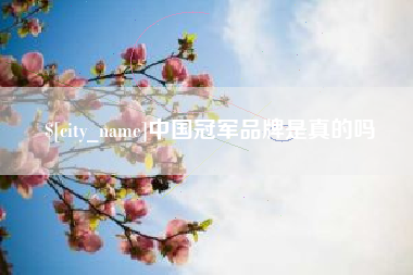 天长中国冠军品牌是真的吗