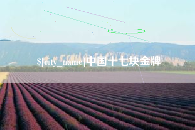 天长中国十七块金牌