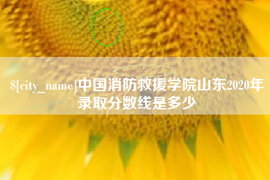 天长中国消防救援学院山东2020年录取分数线是多少
