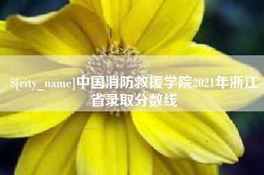天长中国消防救援学院2021年浙江省录取分数线