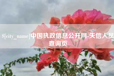 天长中国执政信息公开网-失信人员查询页