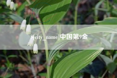 天长中国第9金
