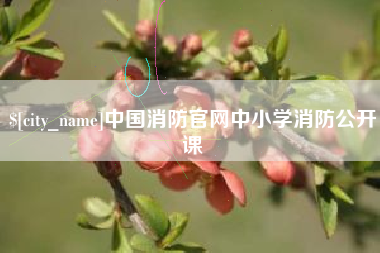 天长中国消防官网中小学消防公开课