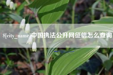 天长中国执法公开网征信怎么查询