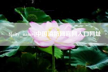 天长中国消防网官网入口网址