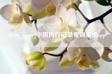 天长中国执行记录查询系统app