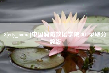 天长中国消防救援学院2019录取分数线