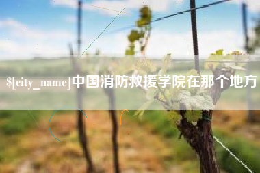 天长中国消防救援学院在那个地方