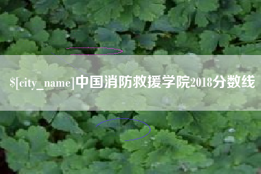 天长中国消防救援学院2018分数线