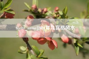 天长2021年九宫格风水