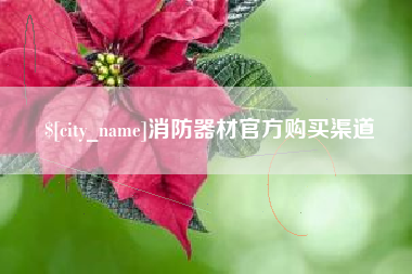 天长消防器材官方购买渠道
