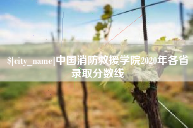 天长中国消防救援学院2020年各省录取分数线