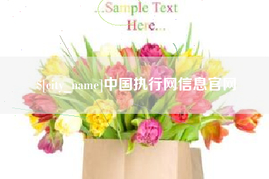 天长中国执行网信息官网