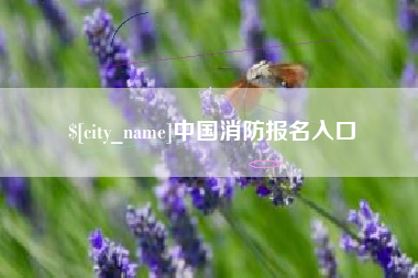 天长中国消防报名入口
