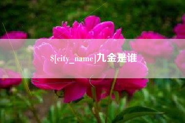 天长九金是谁