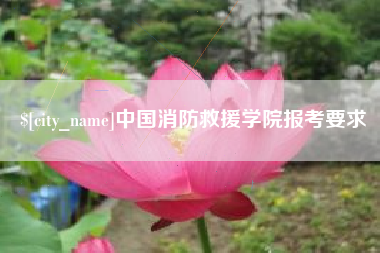 天长中国消防救援学院报考要求