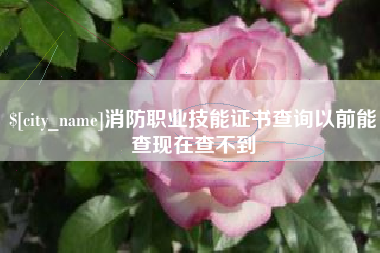 天长消防职业技能证书查询以前能查现在查不到