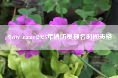 天长2025年消防员报名时间表格