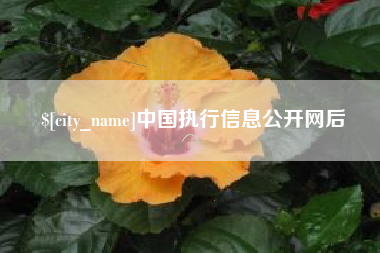 天长中国执行信息公开网后