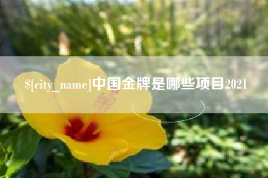 天长中国金牌是哪些项目2021
