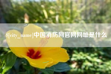 天长中国消防网官网网址是什么