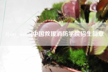 天长中国救援消防学院招生简章