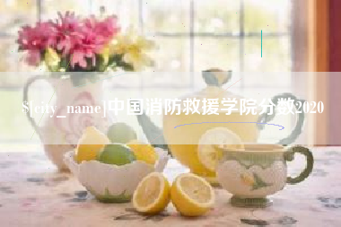 天长中国消防救援学院分数2020