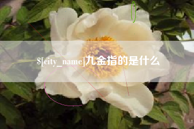 天长九金指的是什么