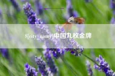 天长中国九枚金牌