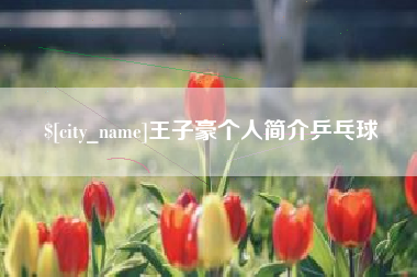 天长王子豪个人简介乒乓球