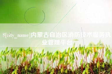 天长内蒙古自治区消防技术服务执业管理平台