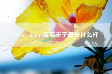 天长看看王子豪长什么样