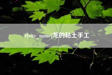 天长龙的粘土手工