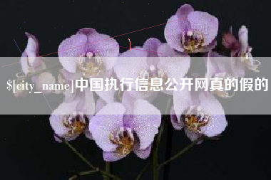 天长中国执行信息公开网真的假的