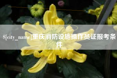 天长重庆消防设施操作员证报考条件