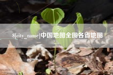 天长中国地图全图各省地图
