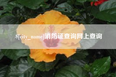 天长消防证查询网上查询