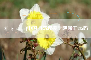 天长中国消防救援学院属于985吗