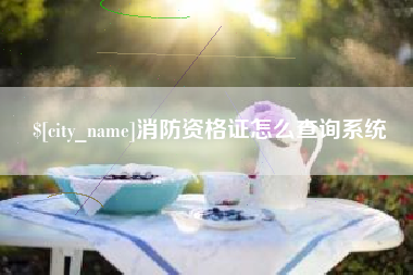 天长消防资格证怎么查询系统