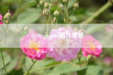 天长第九金是