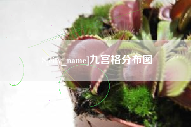 天长九宫格分布图