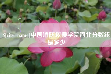 天长中国消防救援学院河北分数线是多少