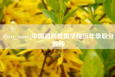 天长中国消防救援学院历年录取分数线