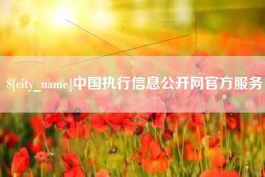 天长中国执行信息公开网官方服务