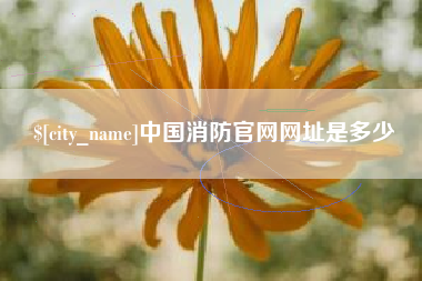 天长中国消防官网网址是多少
