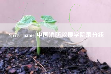 天长中国消防救援学院录分线