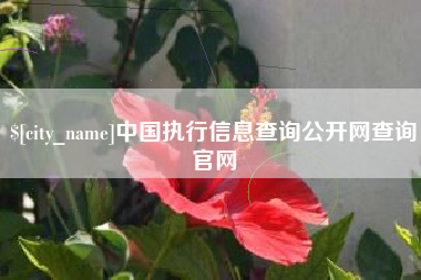 天长中国执行信息查询公开网查询官网