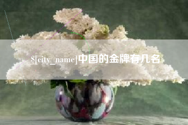 天长中国的金牌有几名