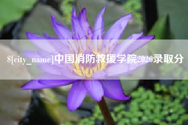 天长中国消防救援学院2020录取分