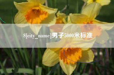 天长男子5000米标准